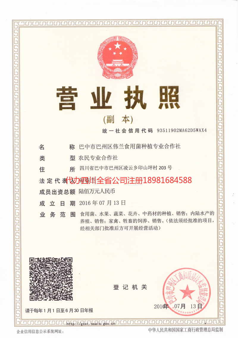 南安南安伟兰食用菌种植专业合作社